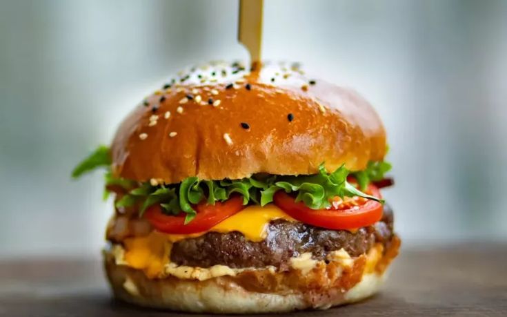 X-Tudo